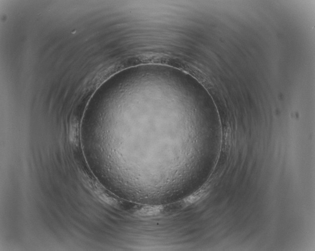 X0000083020138200702161626
