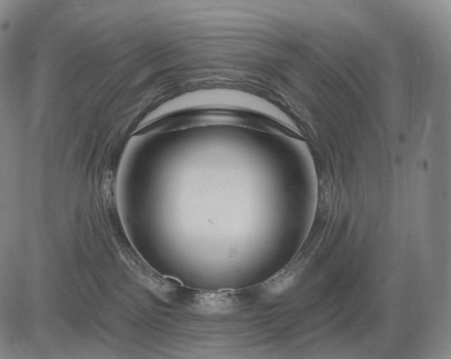 X0000083020141200702161625