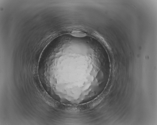 X0000083020161200702161625