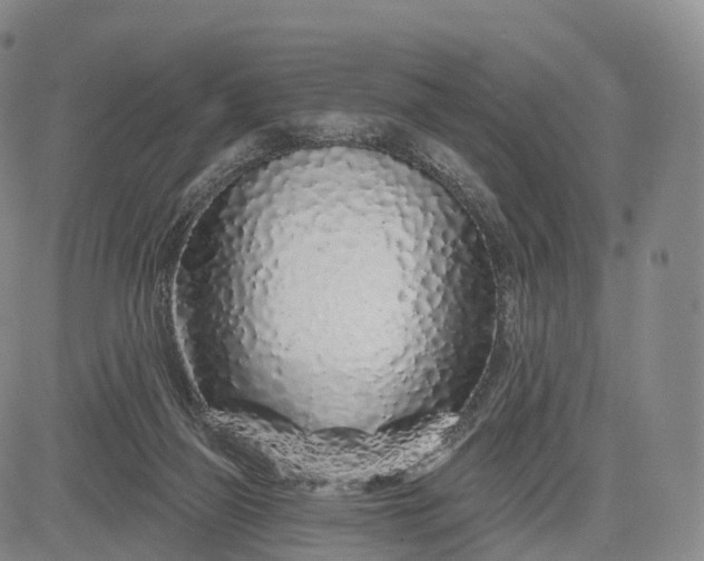 X0000083020165200702161625