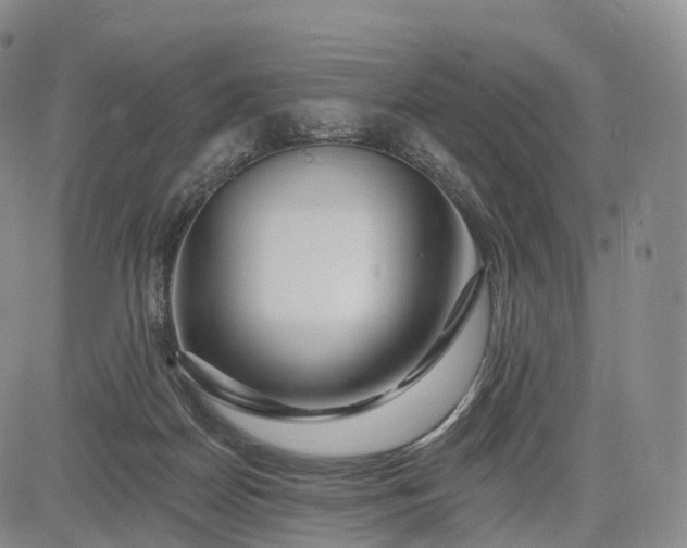 X0000083020170200702161625