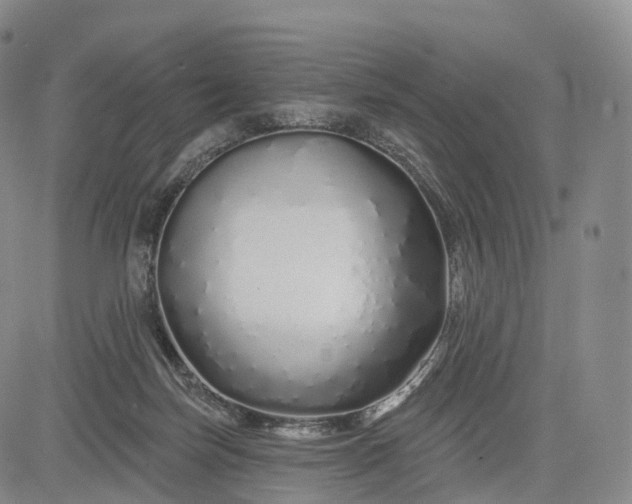 X0000083020171200702161625