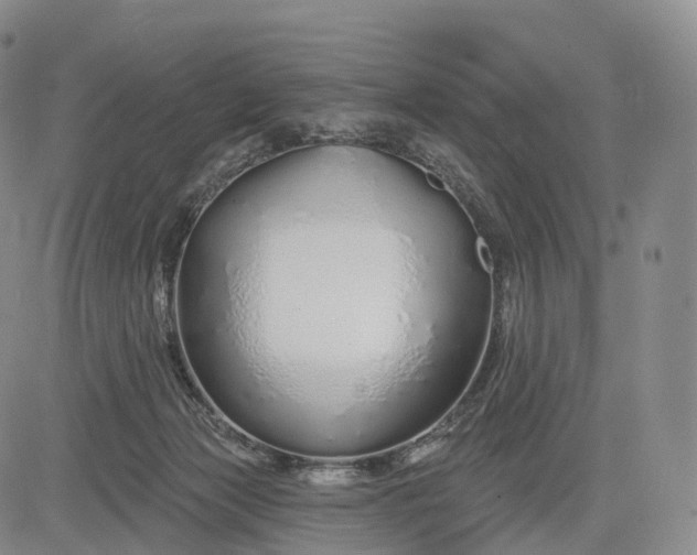 X0000083020173200702161625