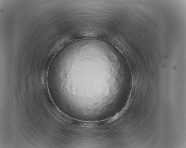 X0000083020175200702161625