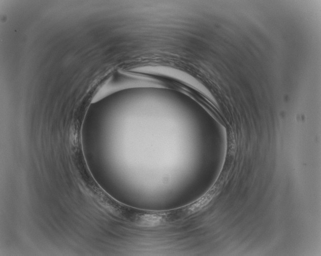 X0000083020176200702161625