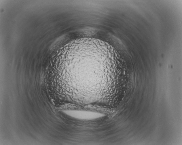 X0000083020177200702161625