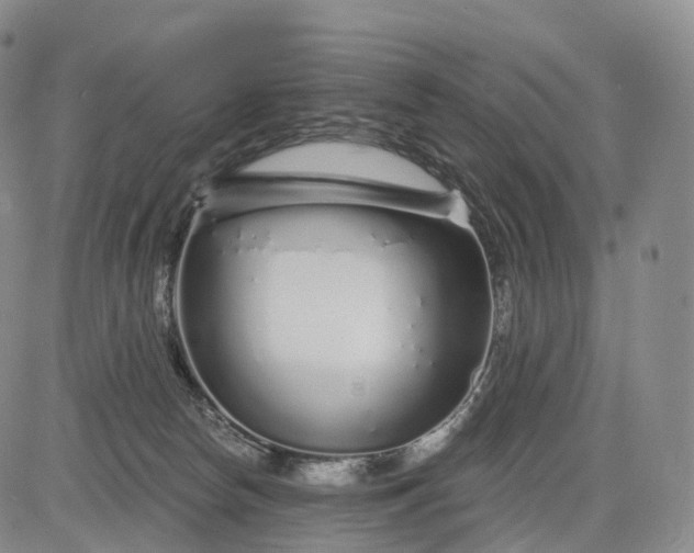 X0000083020178200702161625