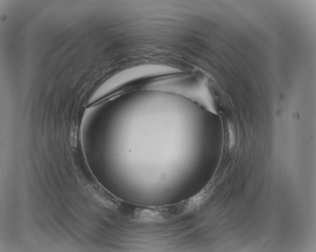 X0000083020180200702161625