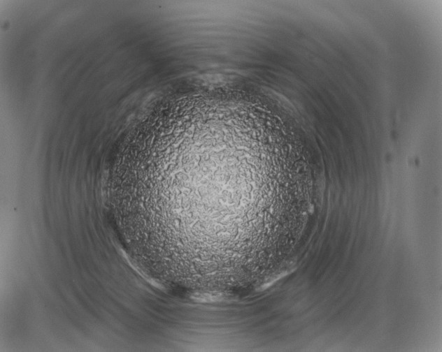 X0000083020181200702161625