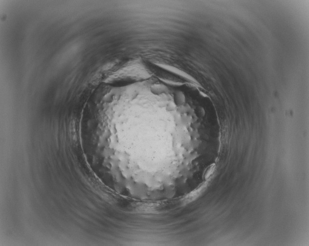 X0000083020182200702161625