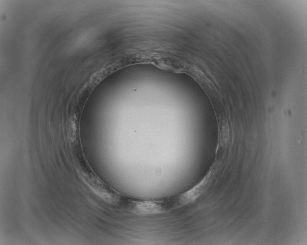 X0000083020183200702161625