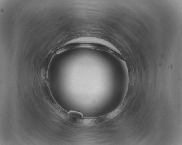 X0000083020184200702161625