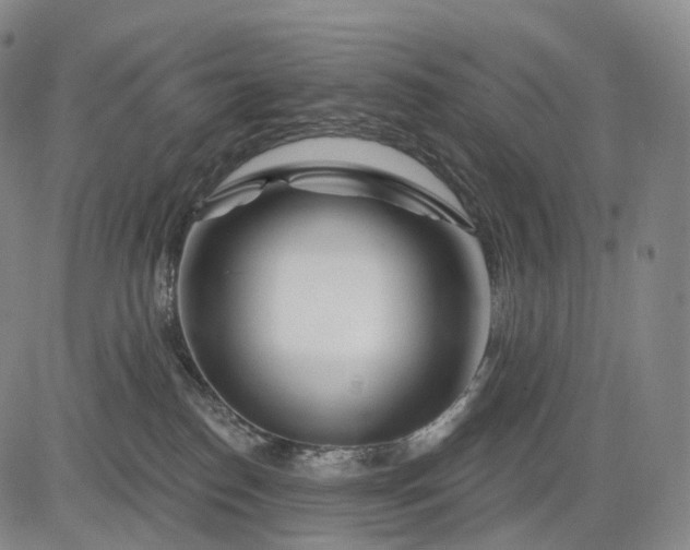 X0000083020186200702161625