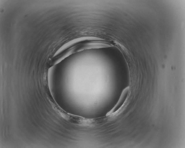 X0000083020192200702161625