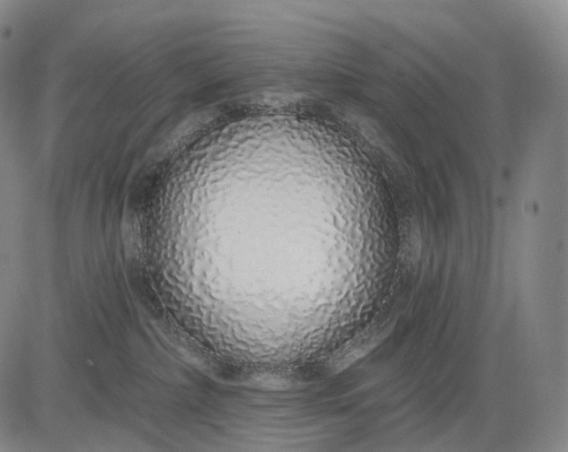 X0000083020236200702161624