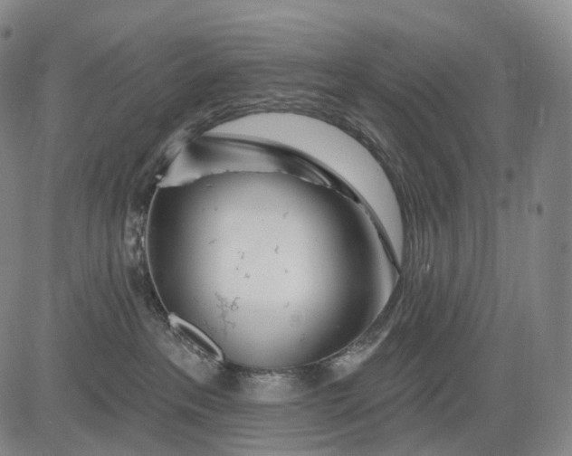 X0000083020237200702161624