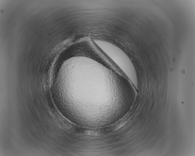 X0000083020272200702161624