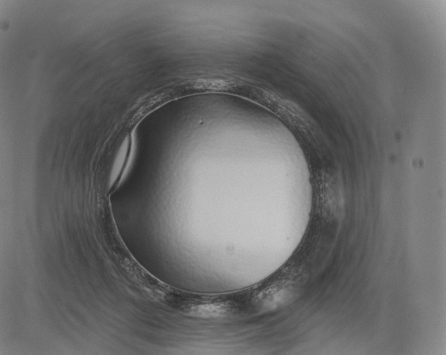 X0000083020312200702161623