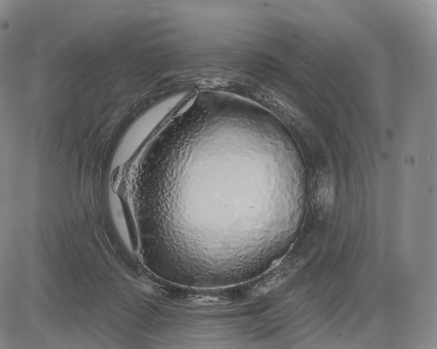 X0000083020315200702161623