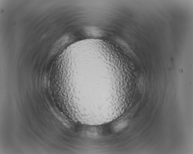 X0000083020330200702161622