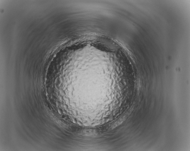 X0000083020353200702161622