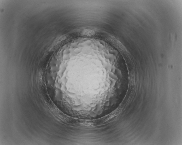 X0000083020363200702161622