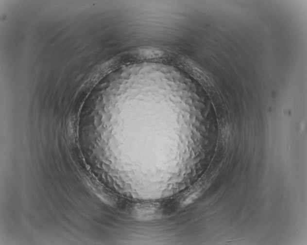 X0000083020373200702161622