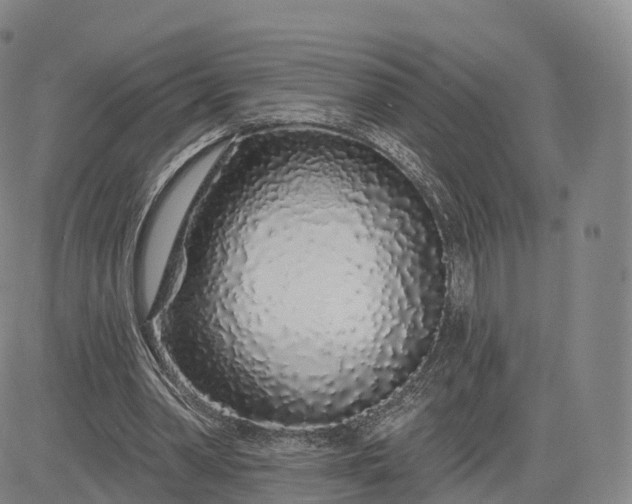 X0000083020390200702161621