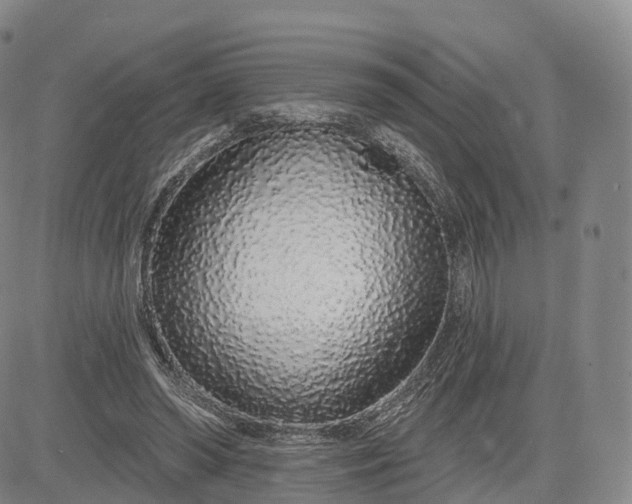 X0000083020398200702161621