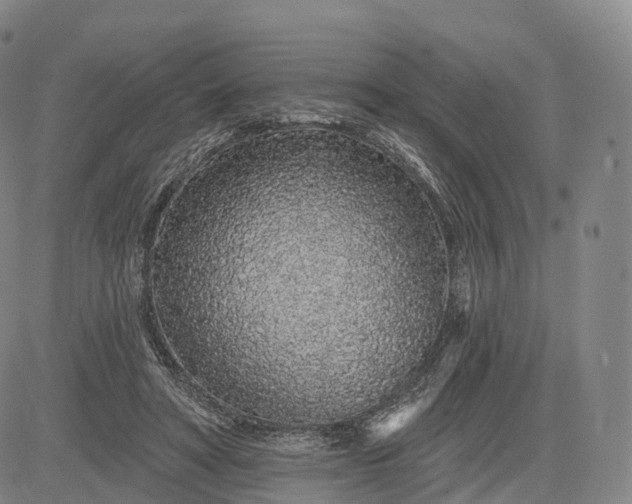 X0000083020402200702161621