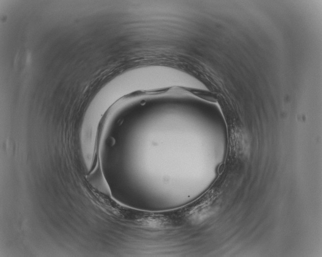 X0000083020412200702161621
