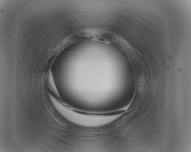 X0000083020413200702161621