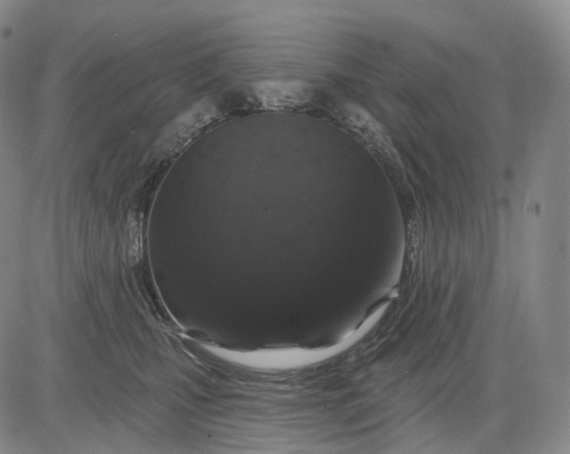 X0000083020471200702161621