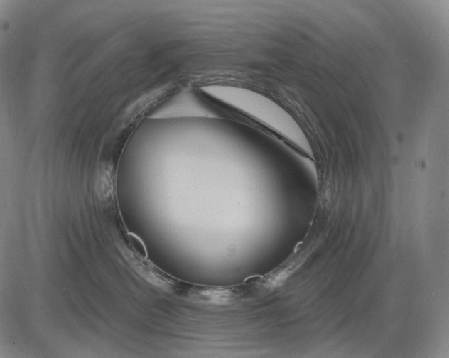 X0000083020478200702161621