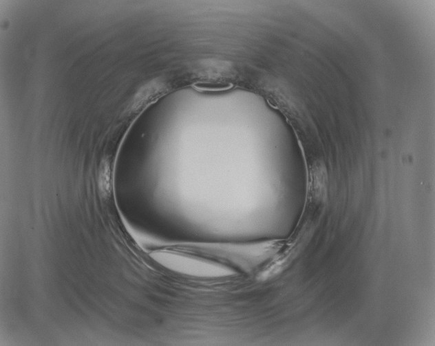 X0000083020479200702161621