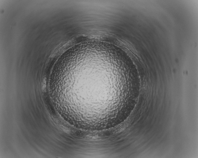 X0000083020502200702161620