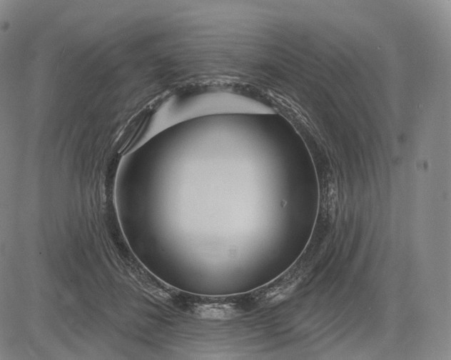 X0000083020508200702161620