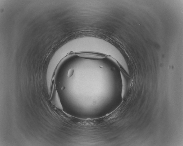 X0000083020512200702161619