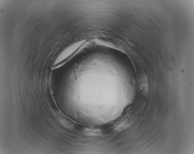 X0000083020515200702161619