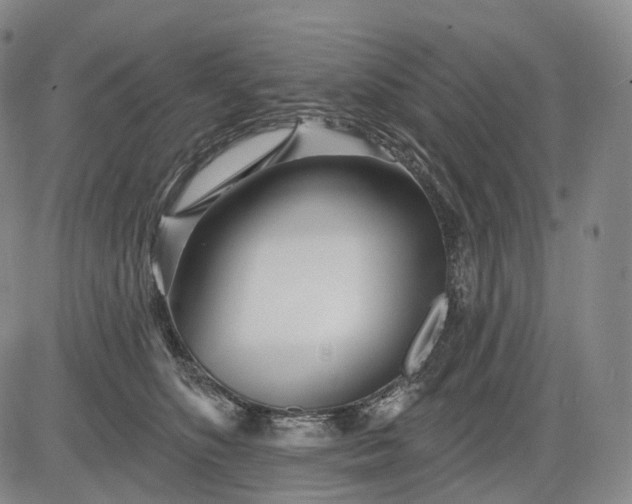 X0000083020516200702161619