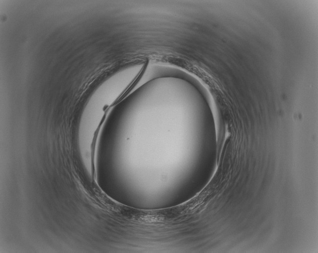 X0000083020546200702161619