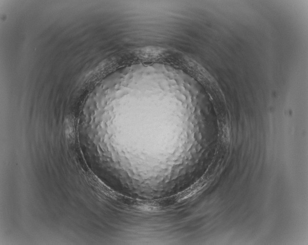 X0000083020561200702161619