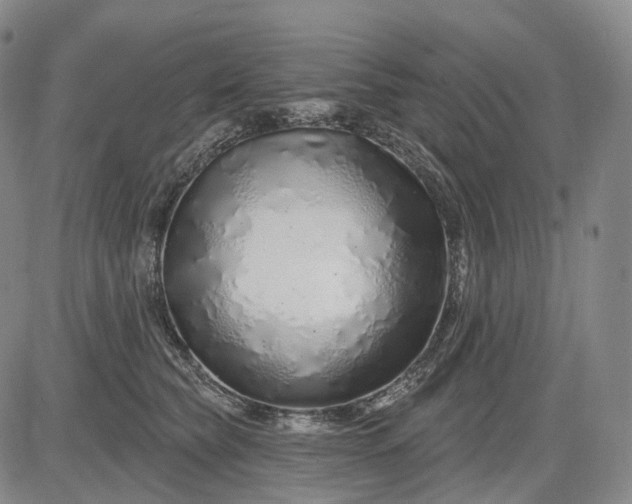 X0000083020565200702161619