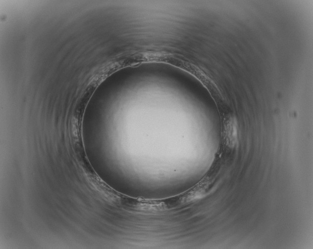 X0000083020571200702161619