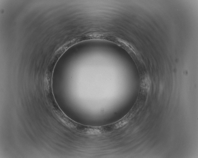 X0000083020572200702161619