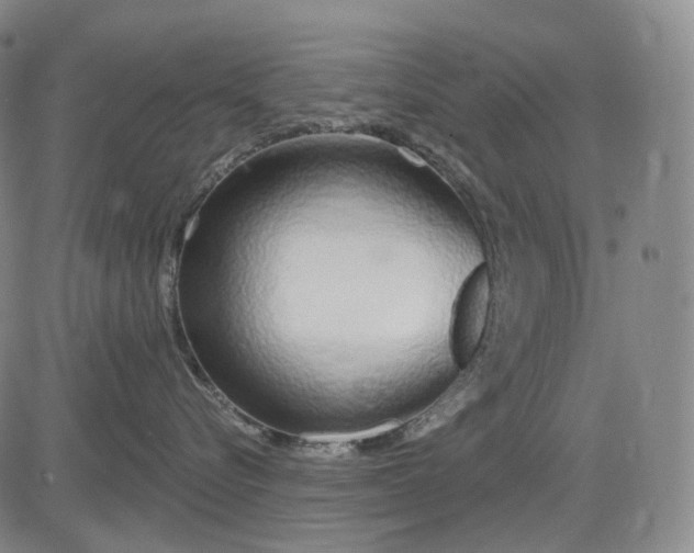 X0000083020576200702161619