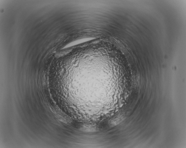 X0000083020606200702161618