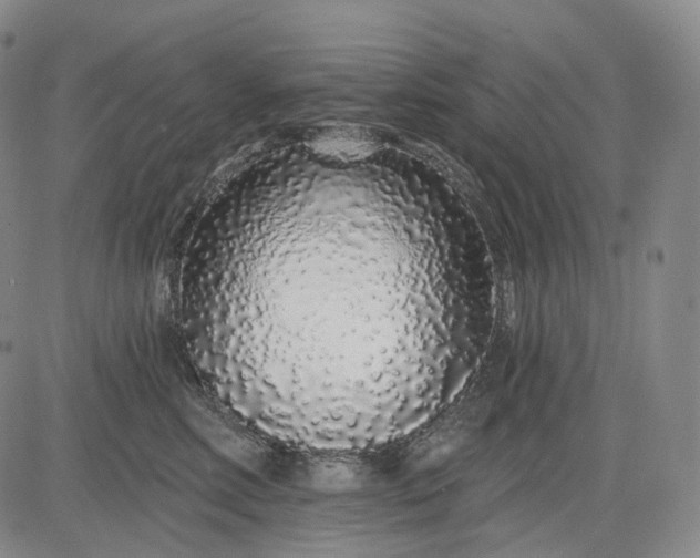 X0000083020618200702161618