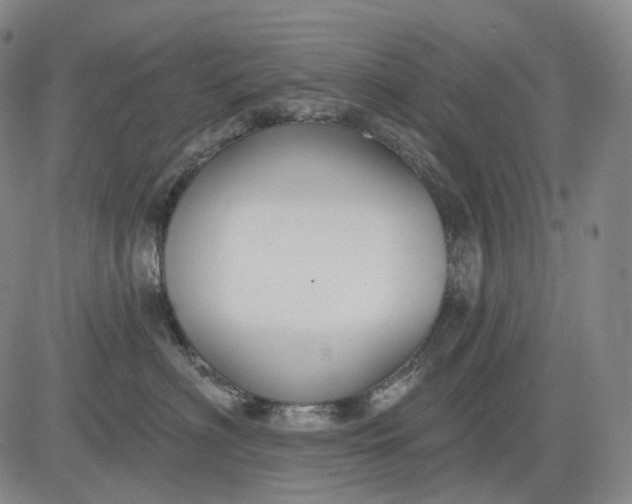 X0000083020622200702161618