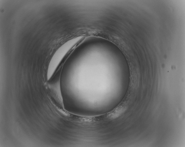 X0000083020624200702161618